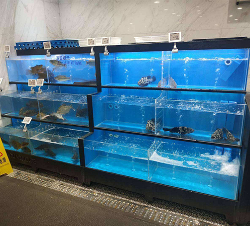 海鲜池