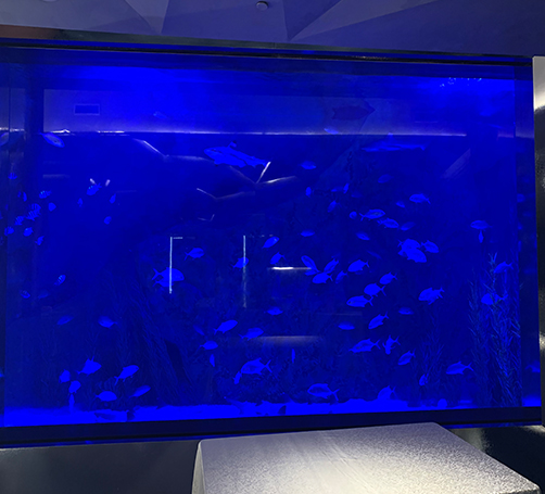 亚克力鱼缸